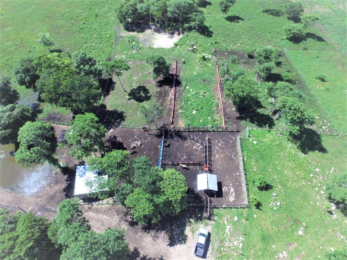 Rancho Agrícola-Ganadero en Venta de 90 Hectáreas en Champotón, Campeche - 1