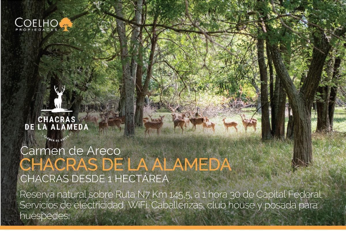 Terreno en venta en Carmen De Areco - Chacras de la Alameda - 1