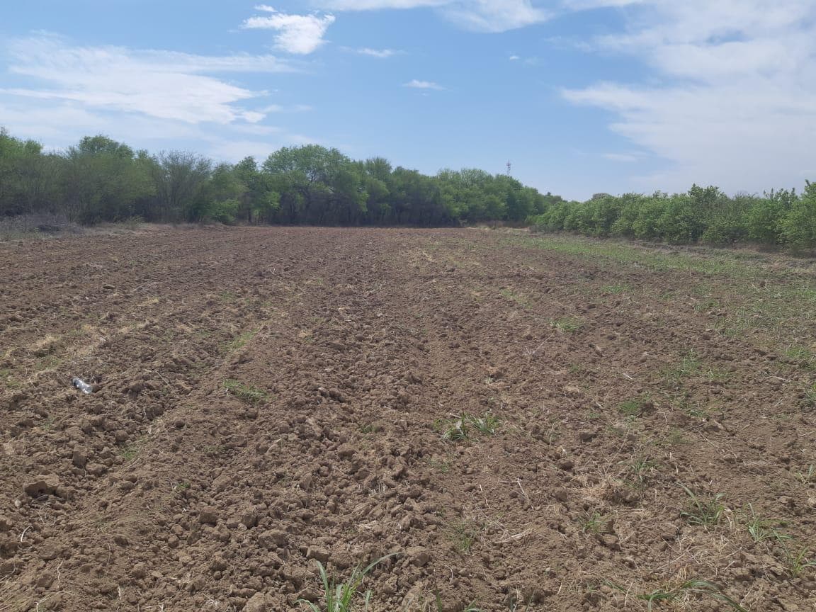Terreno en Venta en Hacienda de Guadalupe, Linares NL - Terreno en Venta Nuevo León - - 1