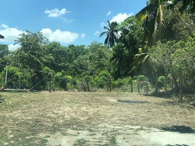 TERRENO EN VENTA - 1
