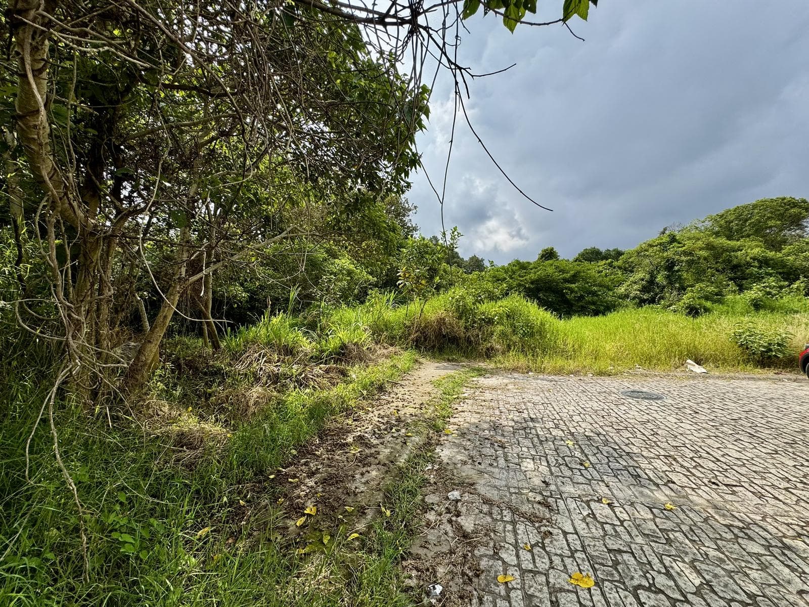 Terreno en Fracc. La Finca Zona Pedregal de las Animas Xalapa - 1