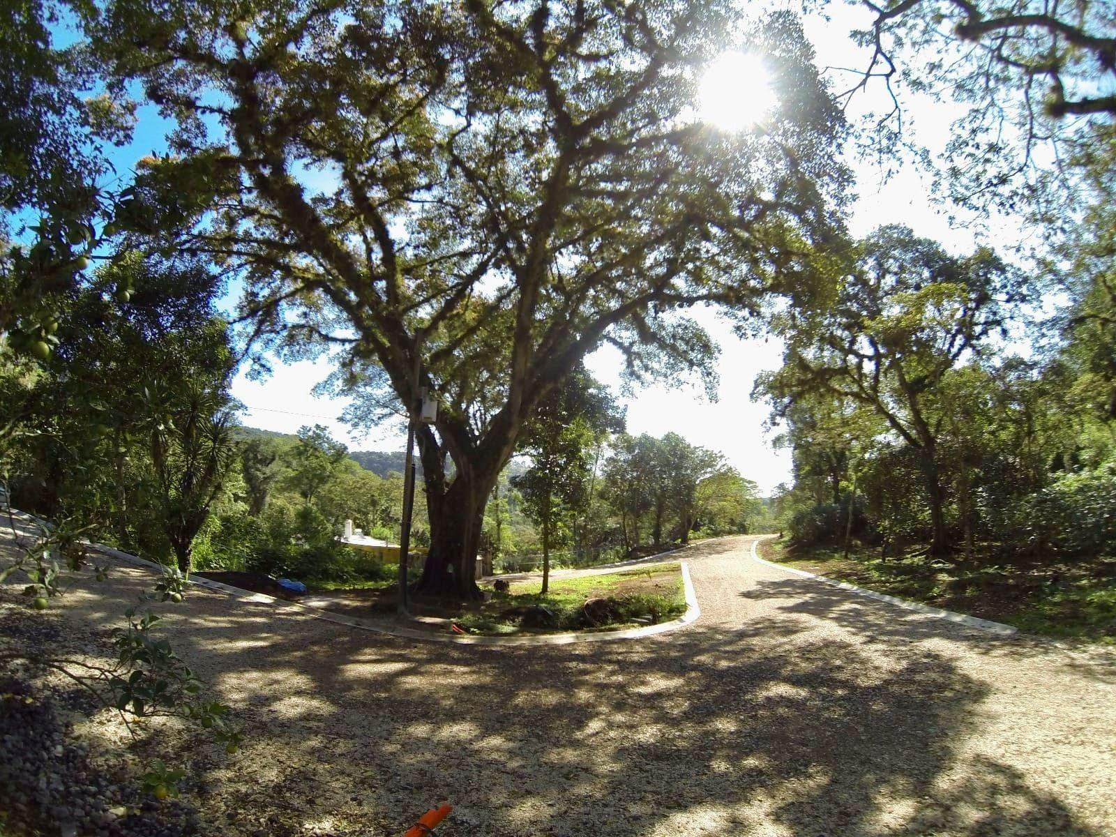Terreno en Venta Consolapan Coatepec Veracruz Zona Briones Residencial Campestre - 1