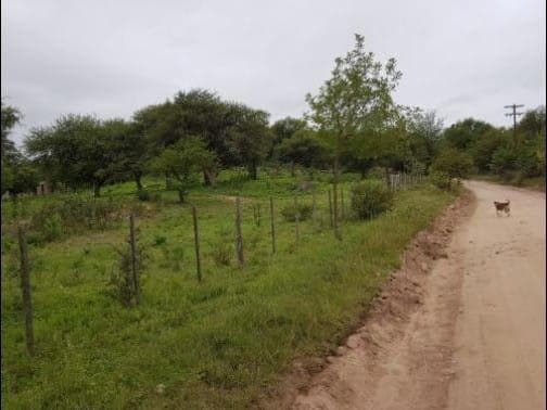 Terreno en venta de 3714m2 ubicado en Nono - San Alberto - 1