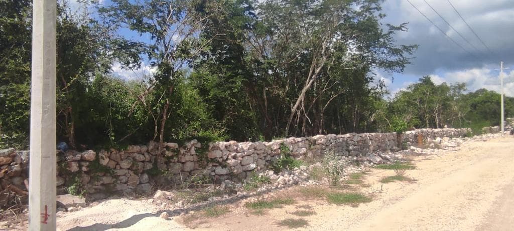 TERRENO EN VENTA EN TIXPEHUAL - 1