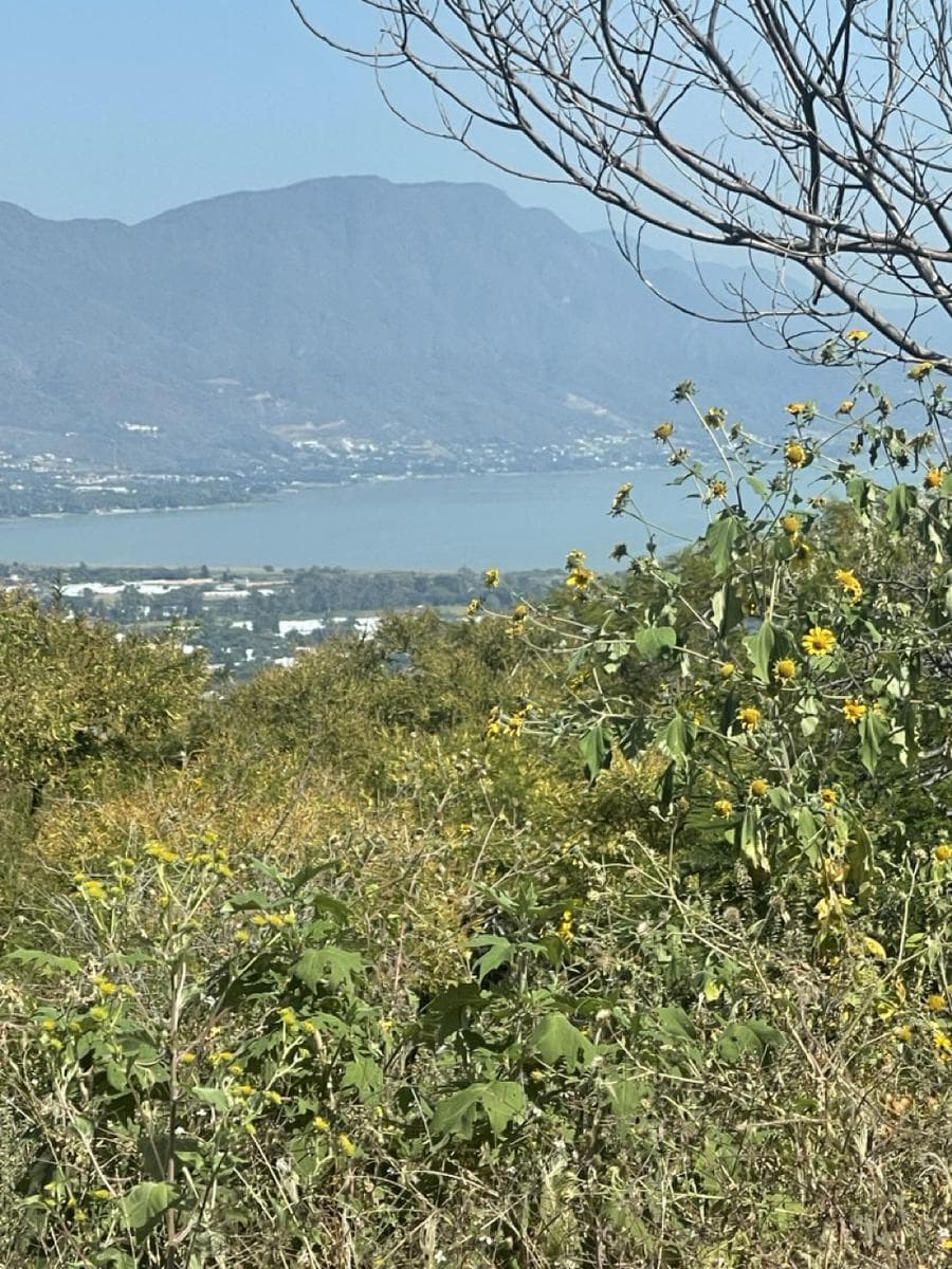 Terreno en Venta - 1