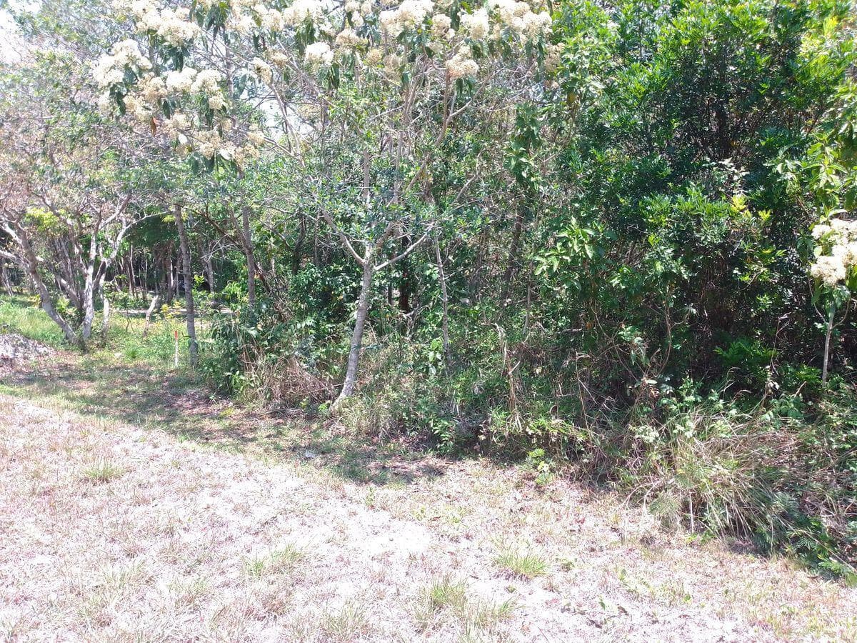Se vende Terreno campestre Ecológico en Ocozocoautla, Chiapas. - 1