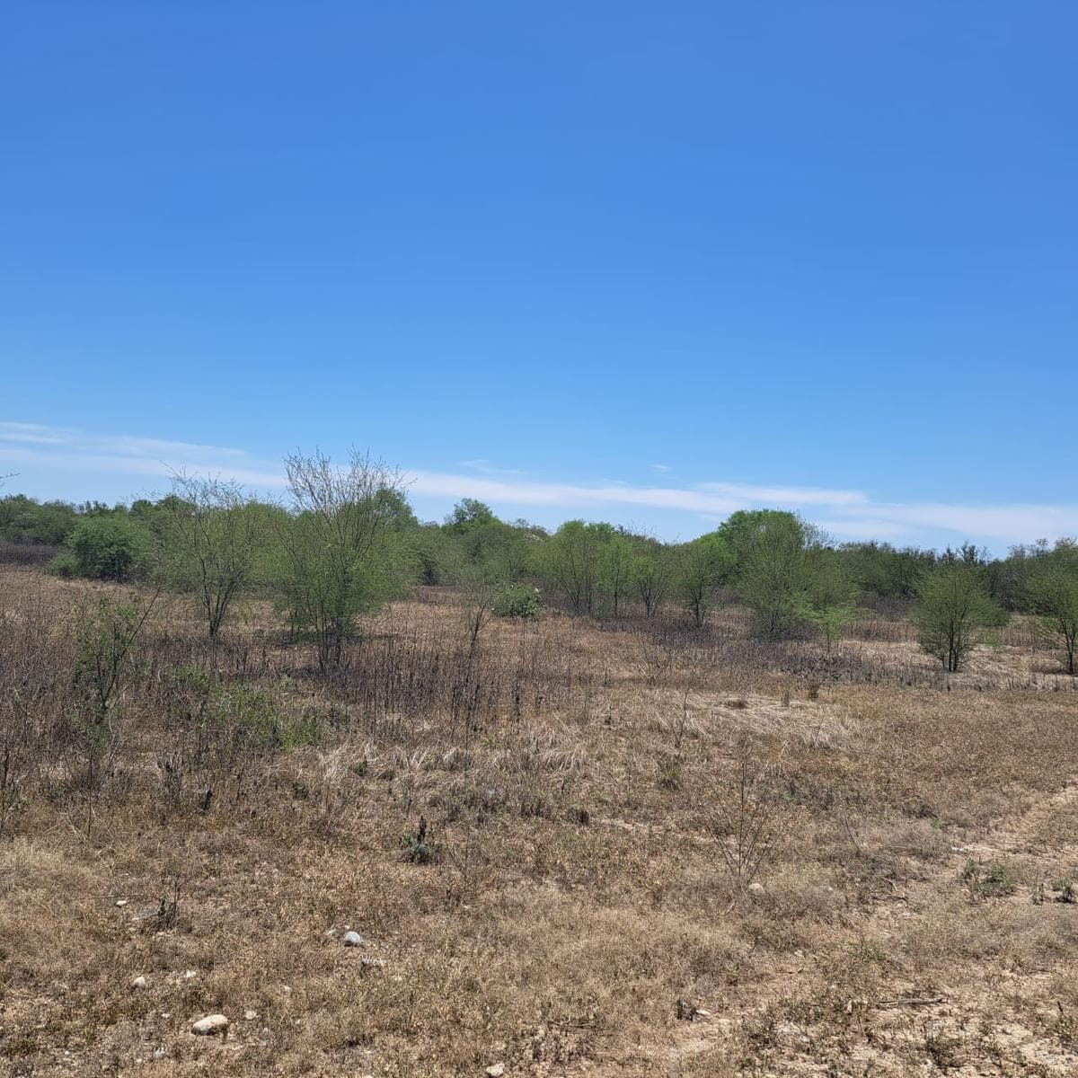 SE VENDE TERRENO, EX HACIENDA UADALUPE, LINARES N. L. - 1