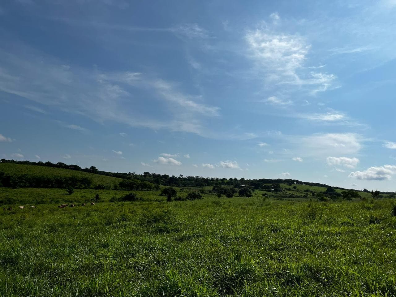 Terreno en El Corozal - 1