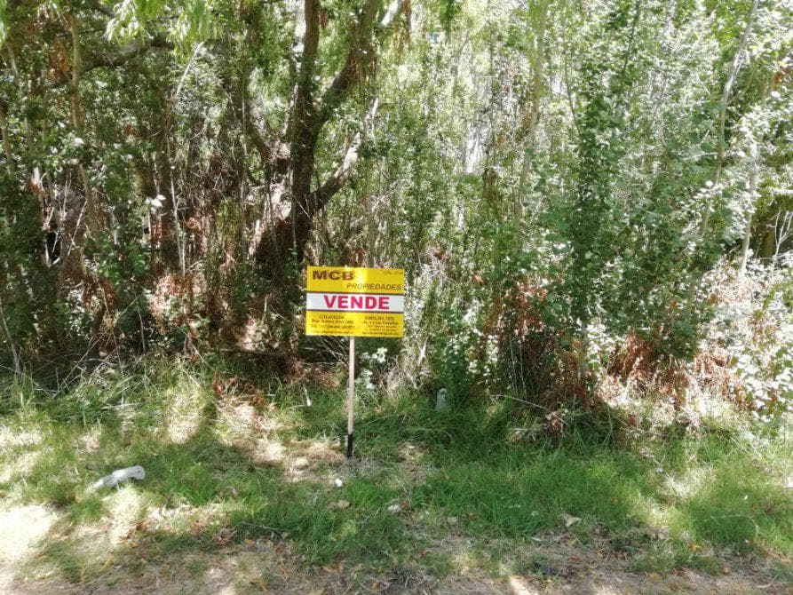 Terreno - Costa Del Este - 1
