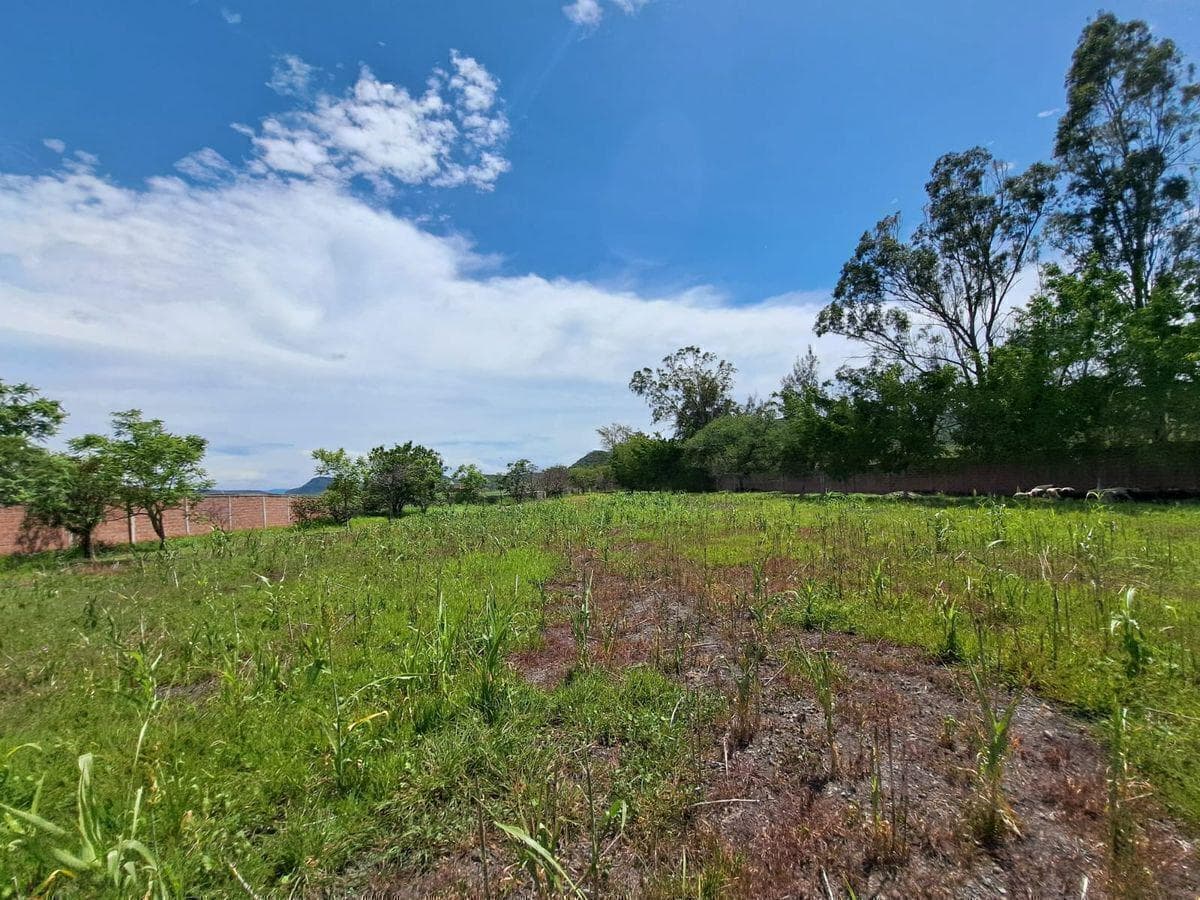 Rancho en Venta, Cuautla, 65,560 m2 - 1