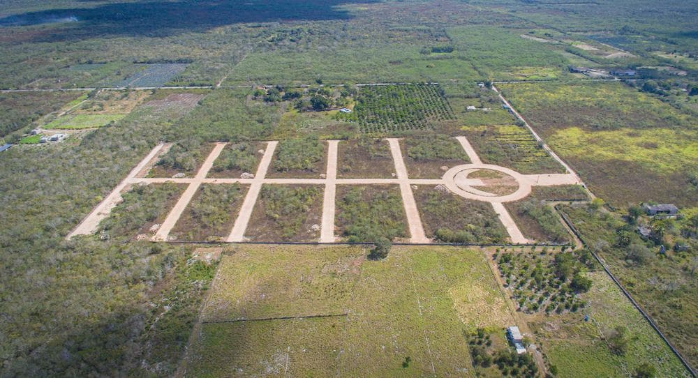 terrenos a metros de carretera motul-telchac - 1