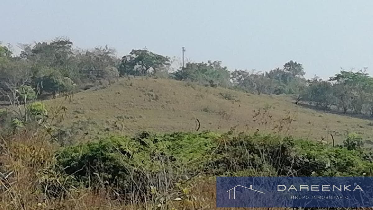 TERRENO EN VENTA 304 HAS - 1
