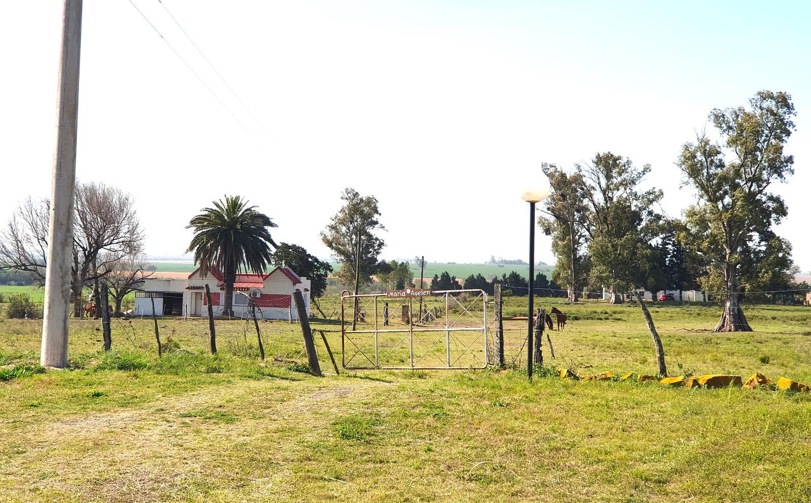 Campo en Molino Doll - 1