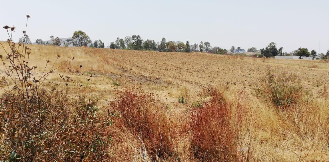 Terreno - Pueblo Santa Isabel Cholula - 1