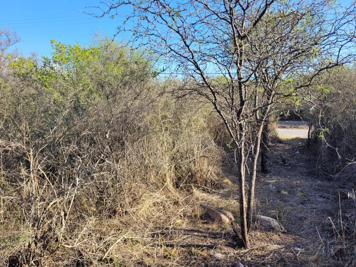 Terreno - Villa De Las Rosas - 1