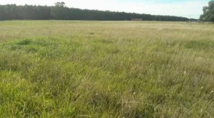 Terreno en venta - 15x30 - 450mts2 totales - San Eduardo Del Mar - 1