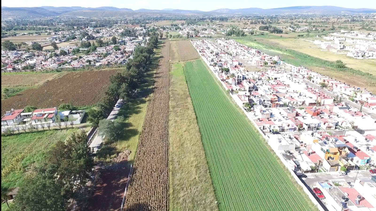 TERRENO EN VENTA SOBRE RAMAL A SAN PEDRO DE LOS SAUCES, TARIMBARO - 1