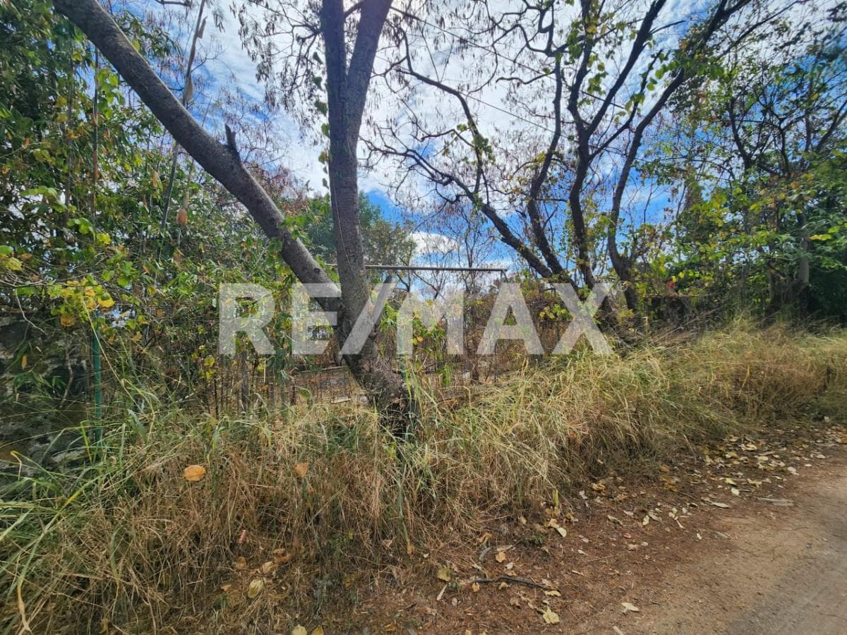 Terreno en Venta en Morelos, en Fraccionamiento de Oaxtepec - 1