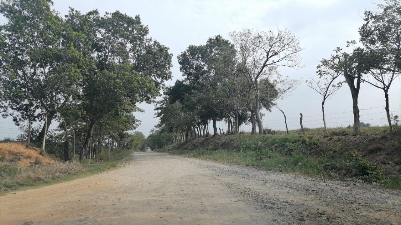 VENTA DE TERRENO EN PALO GACHO - 1
