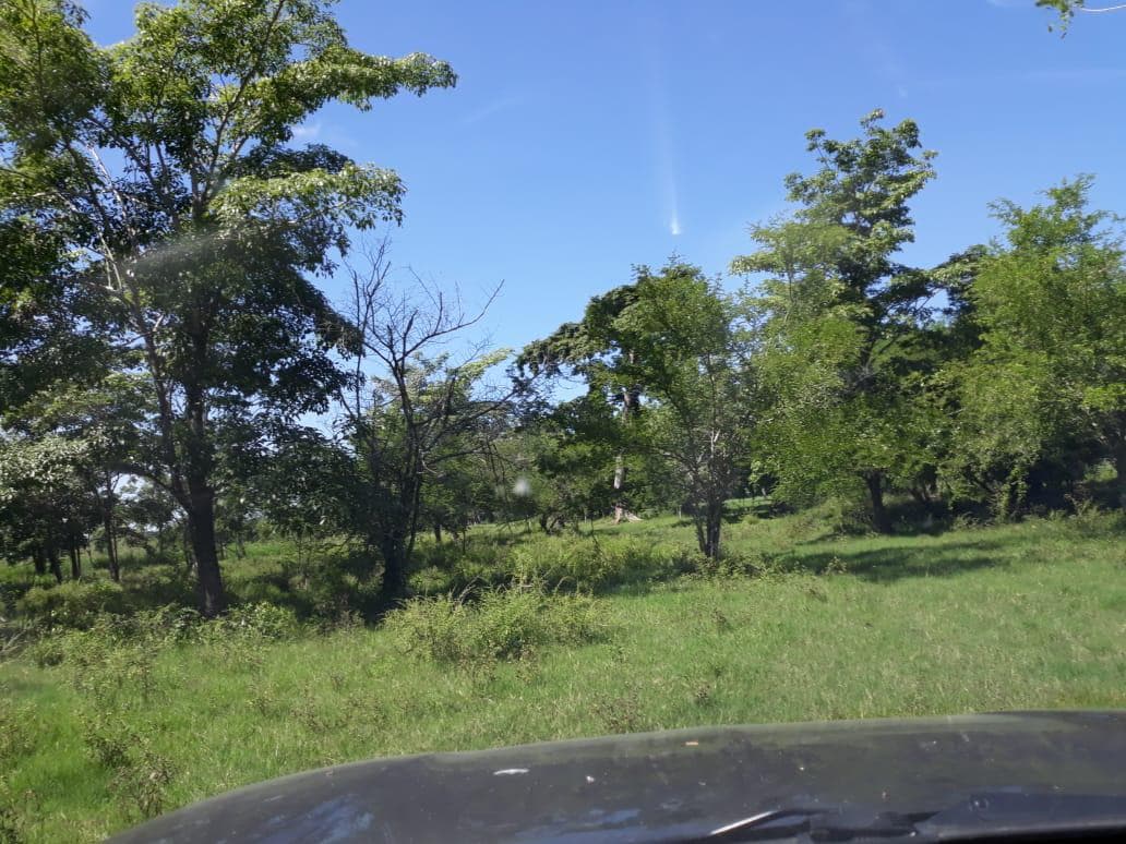 Terreno - Teapa - 1