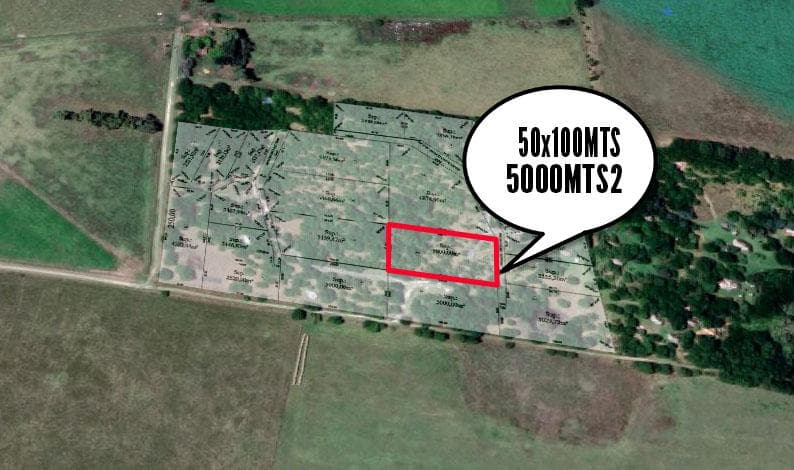 Terreno en venta - 50 x 100mts - 5000mts2 - Navarro - 1