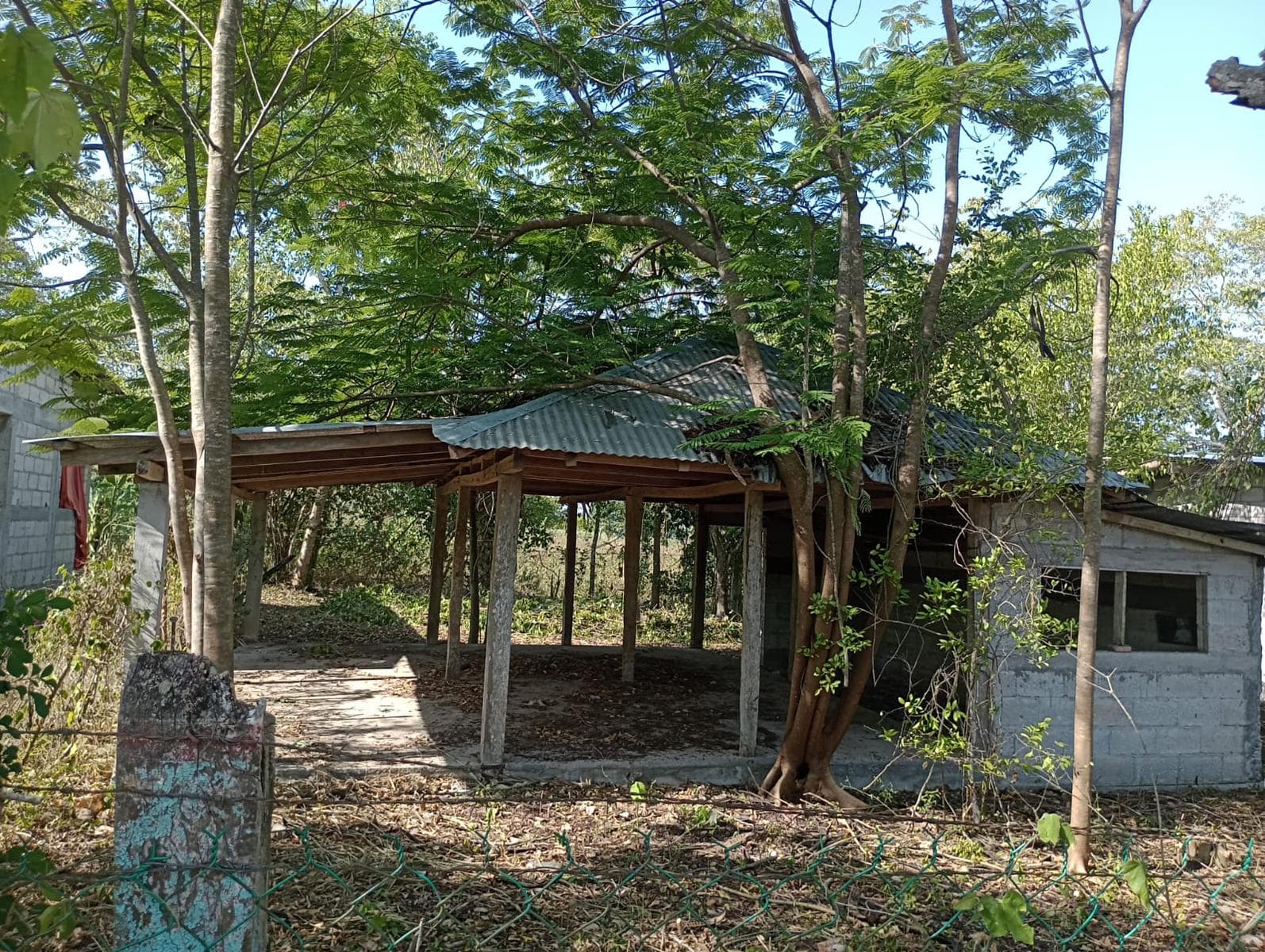 TERRENO EN VENTA COL. TERESA MORALES, TEMPOAL VERACRUZ - 1