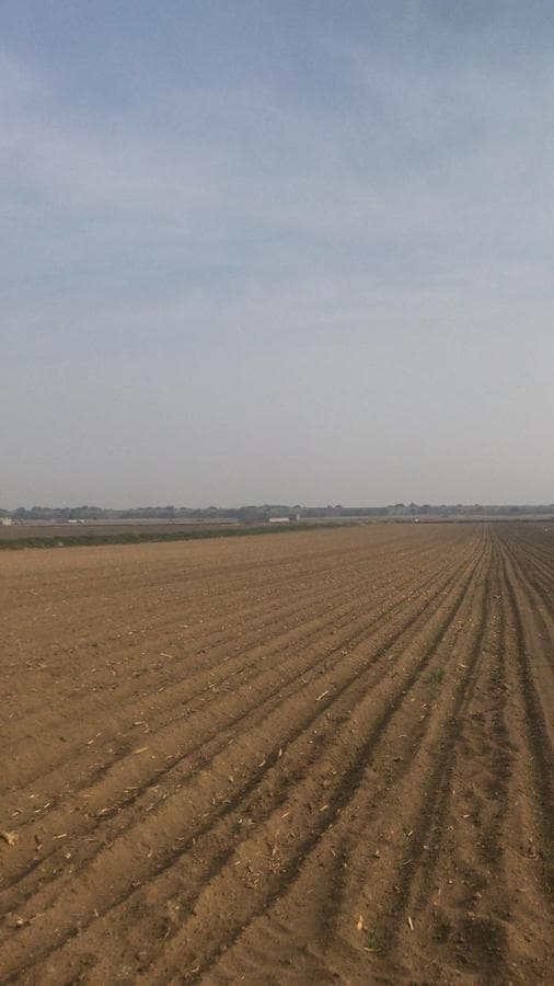 TERRENO EN VENTA - TENANGO DEL VALLE CARRETERA A LA MARQUESA - 1