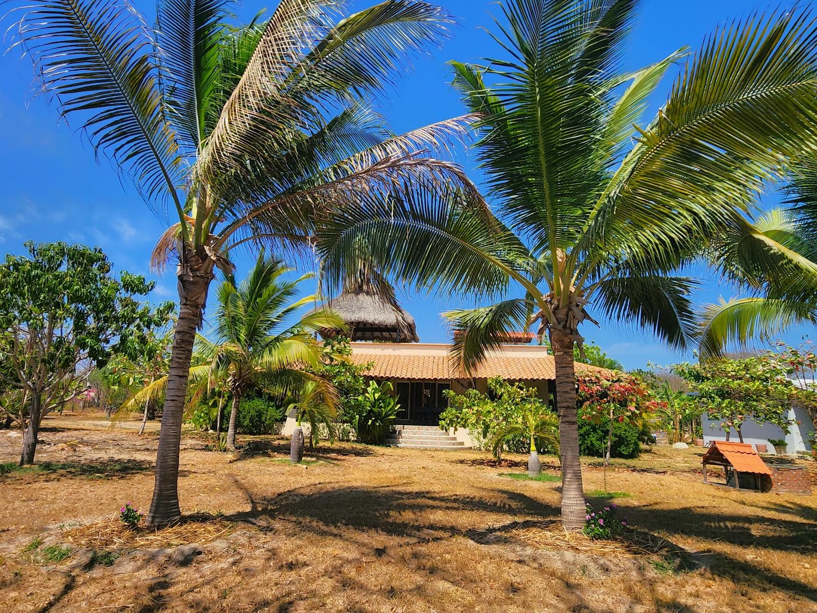 EN VENTA VILLA EN SANTA ELENA, EL TULE, PUERTO ESCONDIDO, OAXACA - 1