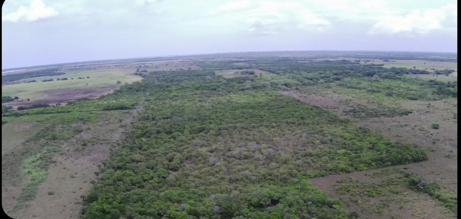 Rancho en venta Los negritos, Tlalixcoyan-veracruz - 1