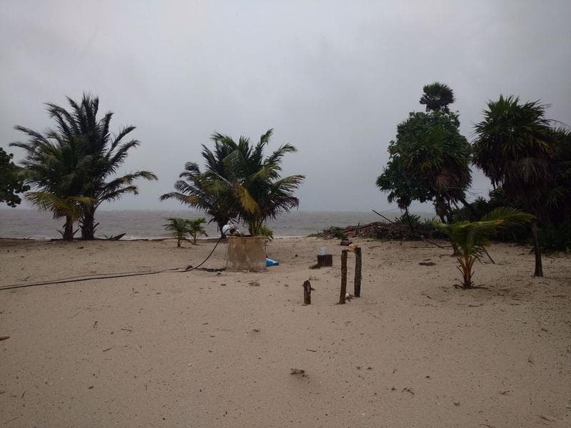 Terreno en venta 20 m de playa x 100 m en la costera de Mahahual a 7 km del poblado - 1