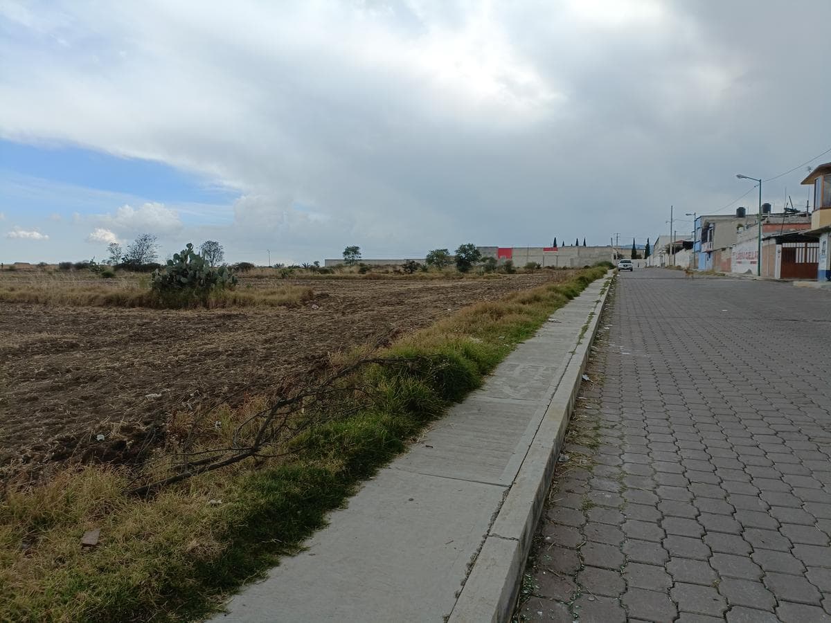 Terreno - Calpulalpan Centro - 1