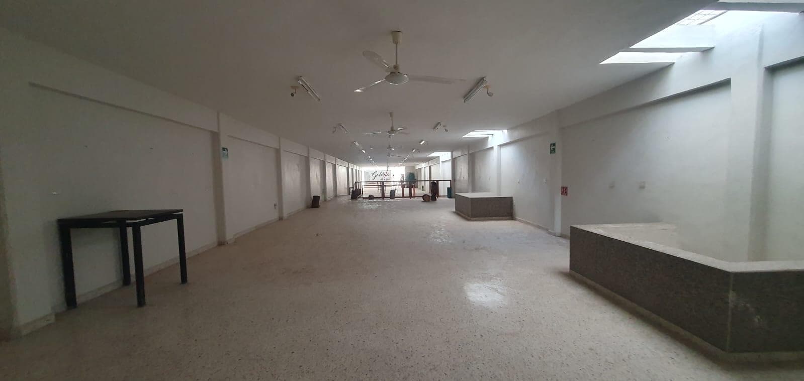 Local en Chetumal en el centro 750m2 - 1