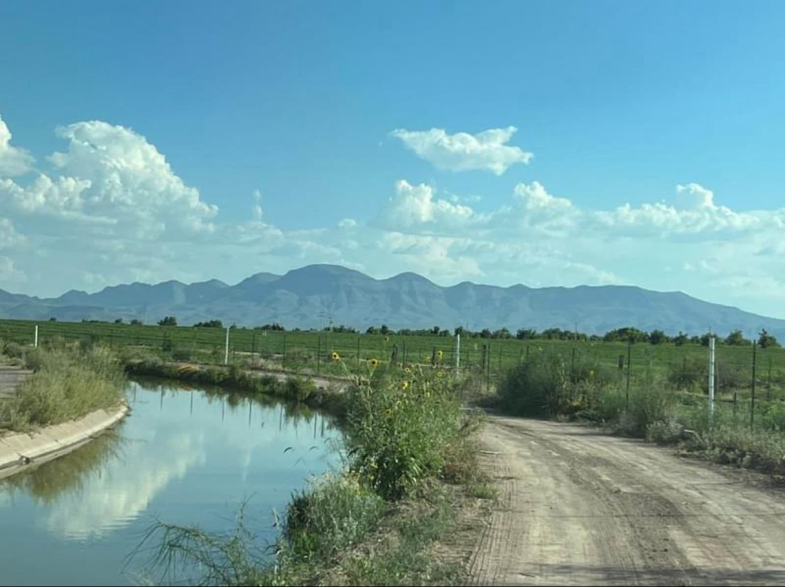 Chacra - Meoqui - 1