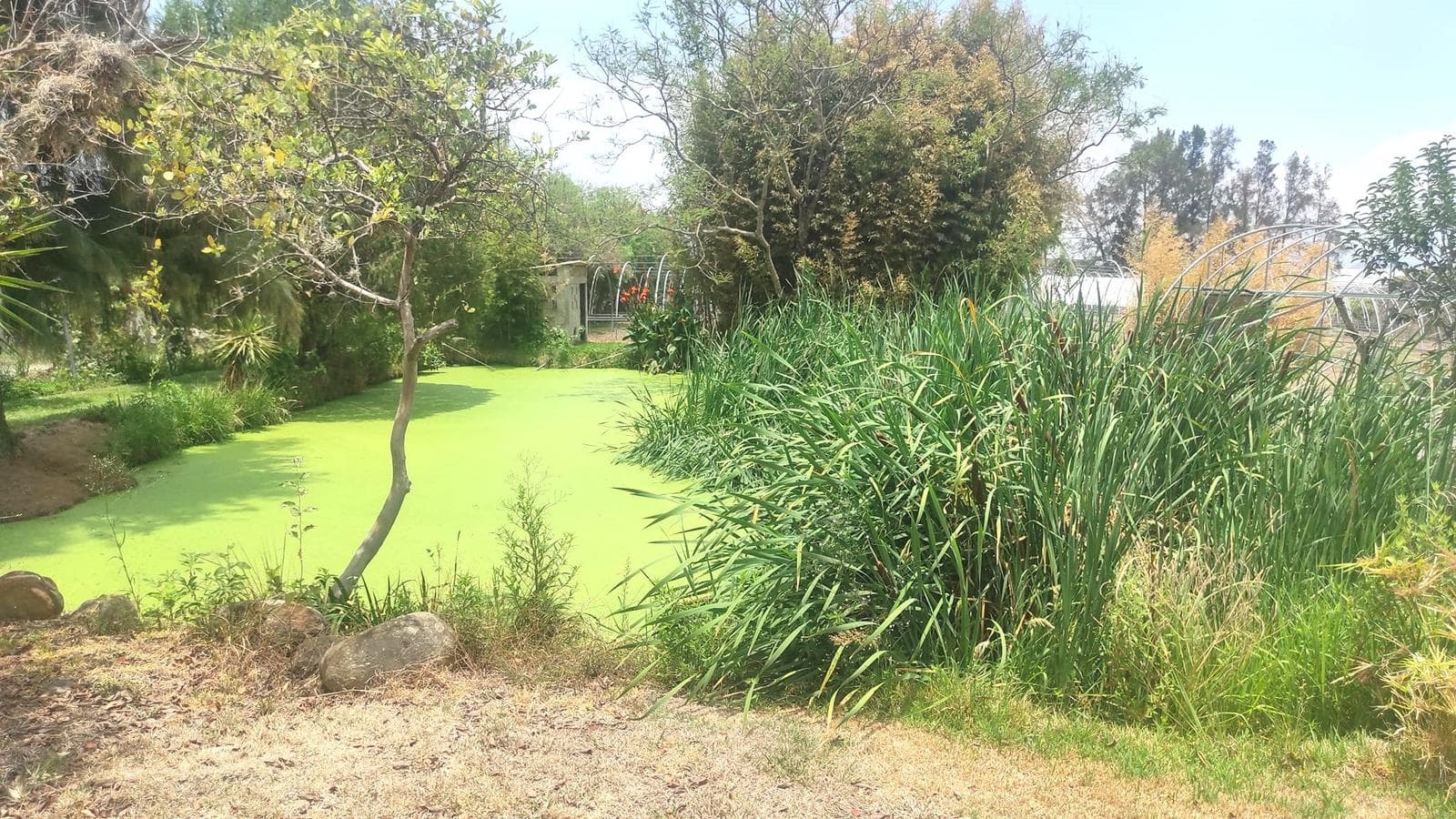Terreno en venta en zumpahucan, - 1
