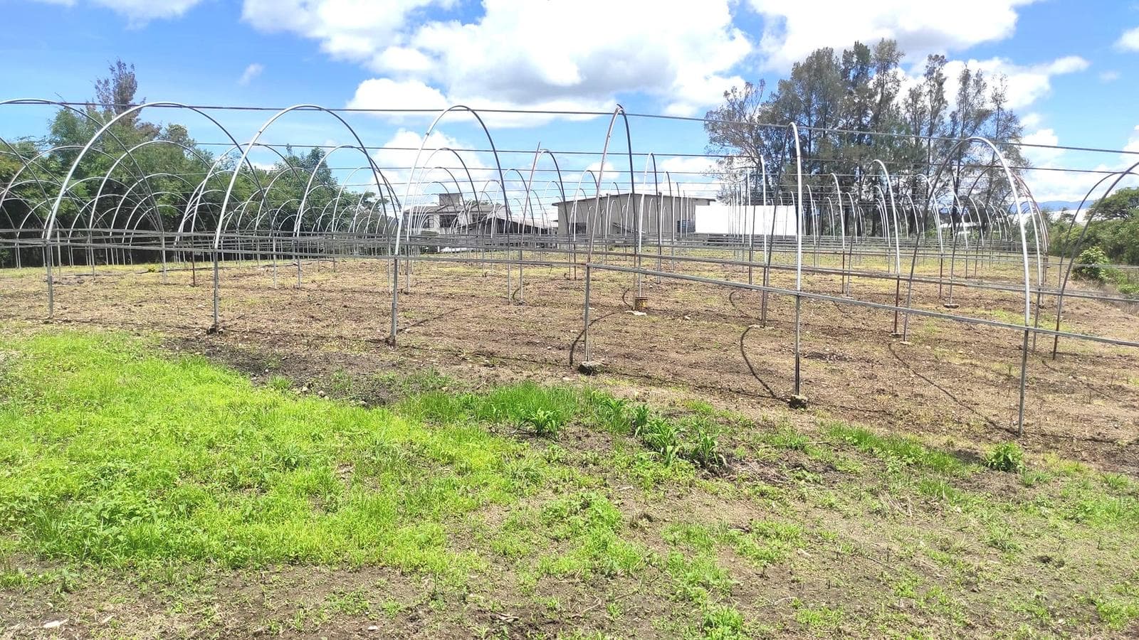 TERRENO EN VENTA EN ZUMPAHUACAN ESTADO DE MEXICO - 1