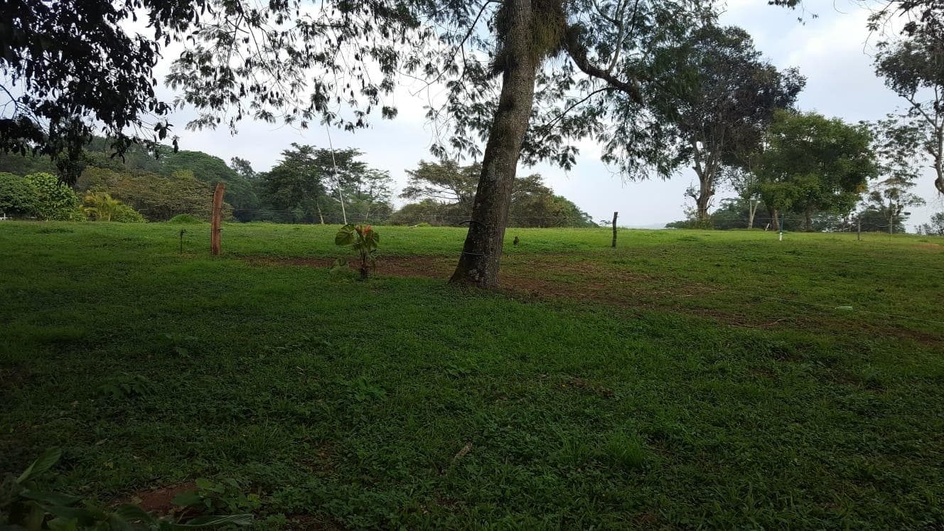 Terreno campestre en venta zona Consolapan - 1