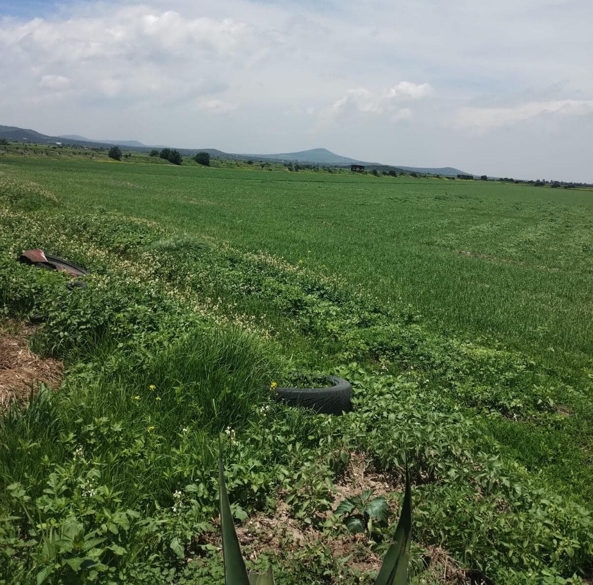 Terreno en Las Pintas, Temascalapa, Edo. Méx. Sup. 66,000 m2 - 1
