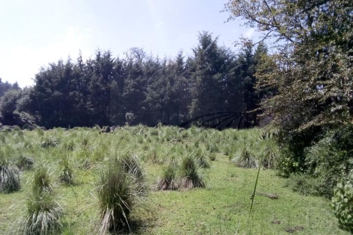Terreno en Venta en Villa Victoria, Estado de México - 1