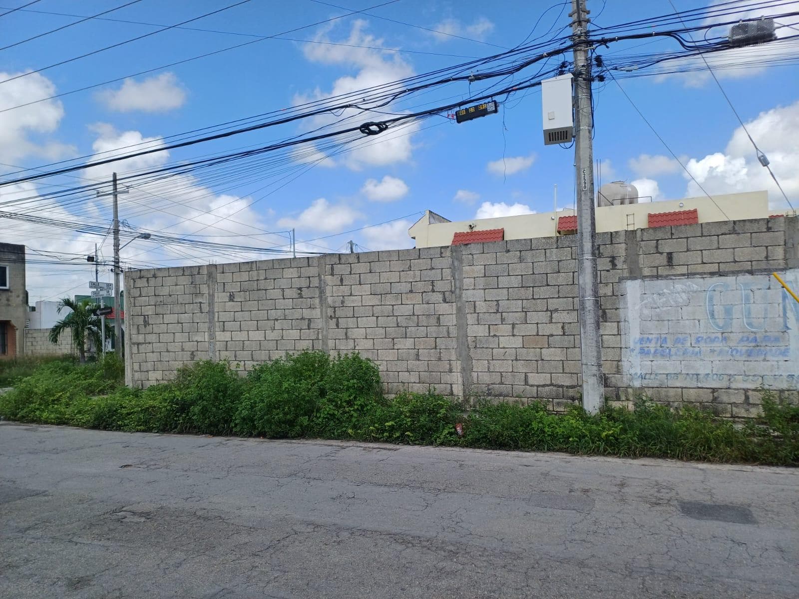 terreno en renta en esquina - Francisco de Montejo, disponible - 1
