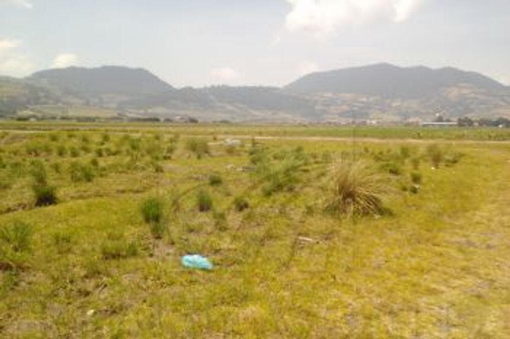 TERRENO EN VENTA ANTES DE LLEGAR A TENANGO - 1