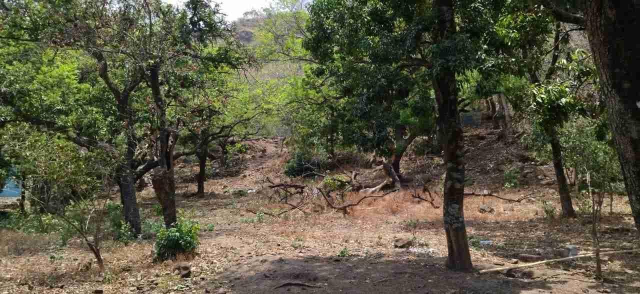 Terreno en Venta en Malinalco Centro - 1