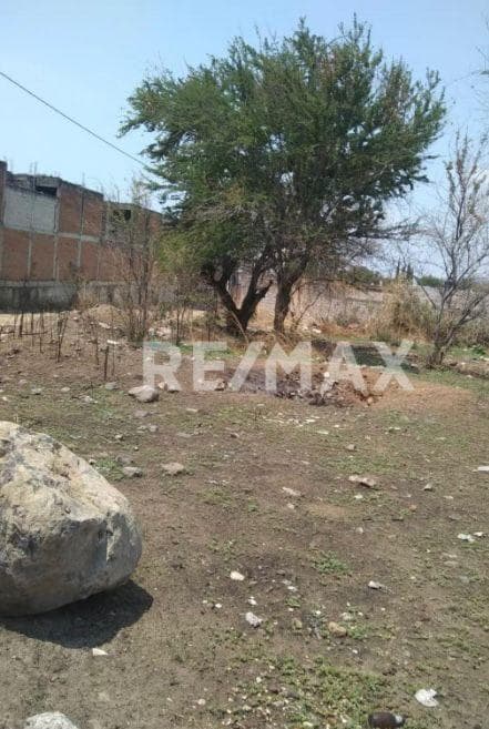 Terreno en Las Cruces - 1