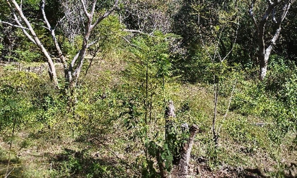 Terreno en venta en Jalmolonga, Malinalco - 1