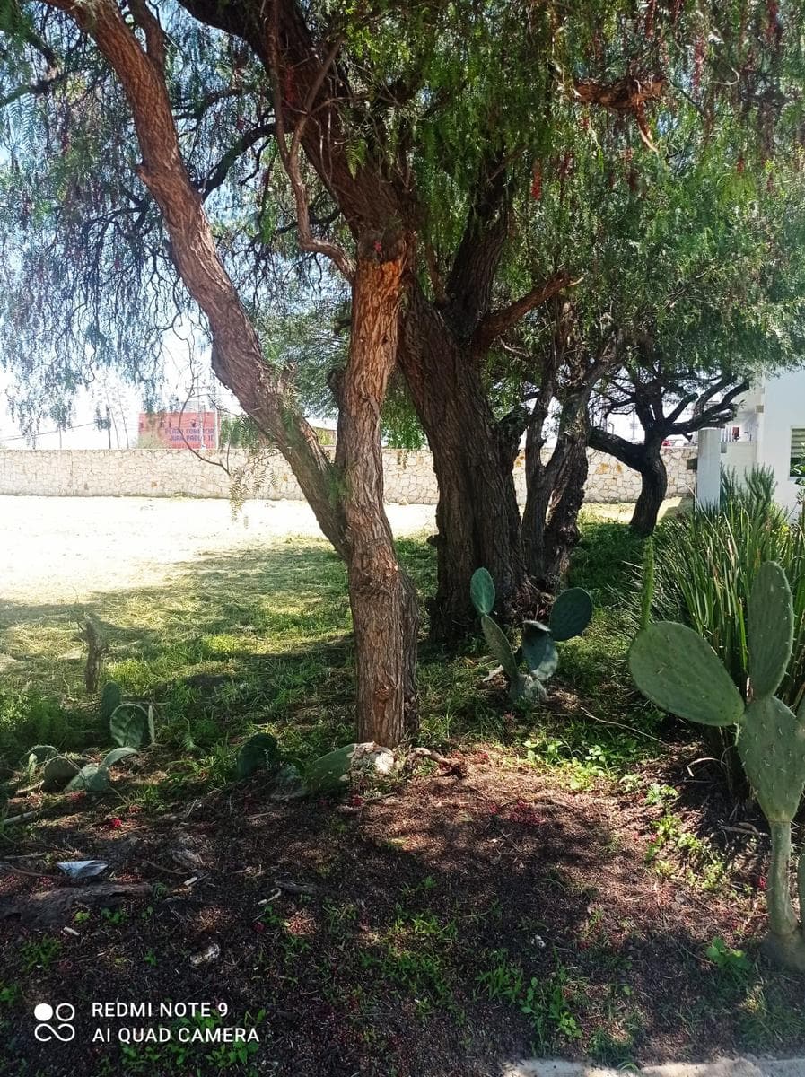TERRENO EN VENTA SAN LORENZO RESIDENCIAL CELAYA - 1
