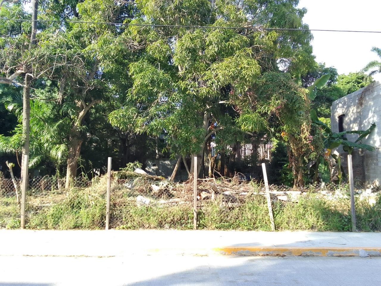 Terreno en Arbol Grande - 1