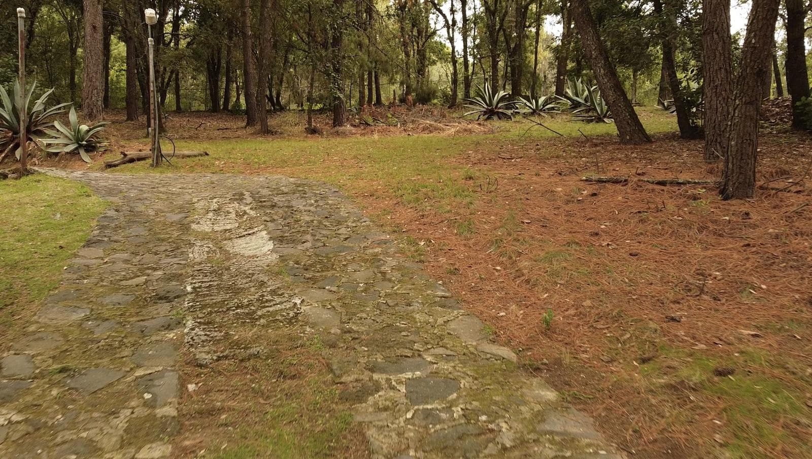 Terreno en Huertas de San Pedro - 1
