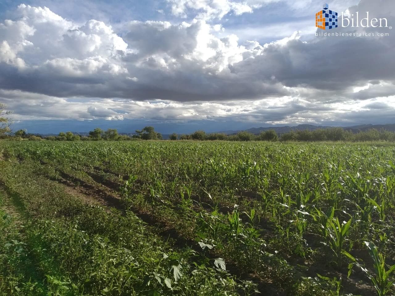 Terreno en Venta en Ejido Nogales Canatlán - 1