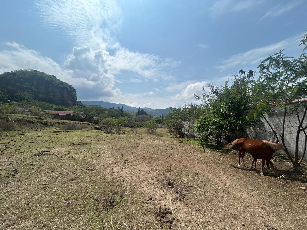VENTA DE TERRENO EN MALINALCO - 1