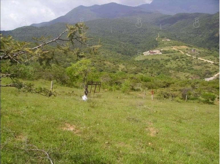 Terreno en Ejido Guadalupe Victoria - 1