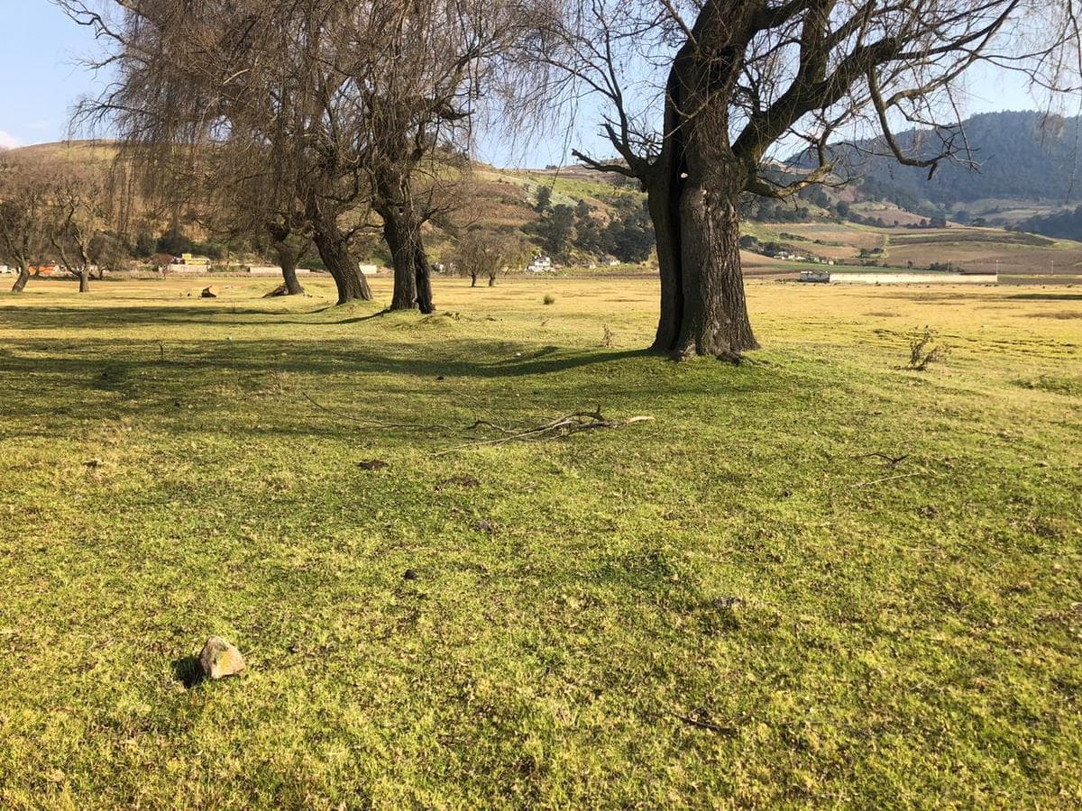 Terreno en venta, Tenango del Valle, Estado de México - 1